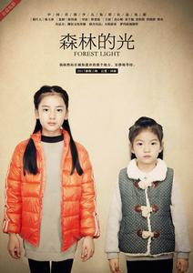森林的光
