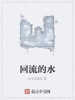 回流的水 回流的水