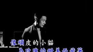 模特MV