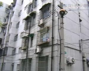 虹梅小區 虹梅小區