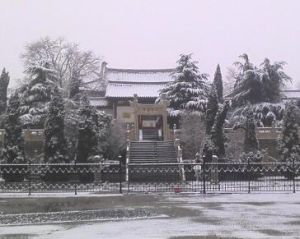 玄奘故里 玄奘故里