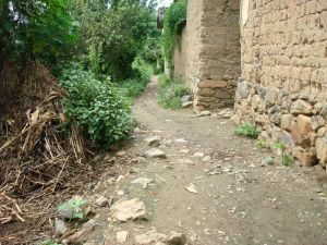 化窯自然村 化窯自然村