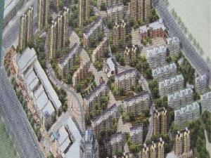 金鷹花園 金鷹花園