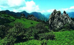 天燕原始生態旅遊區 天燕原始生態旅遊區