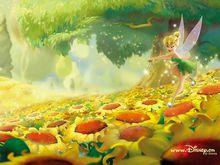 小叮噹：夏日風暴