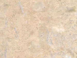 米黃珍珠 | CREAM PERAL |