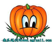 南瓜返利網 南瓜返利網