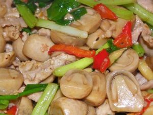 草菇炒肉絲 草菇炒肉絲