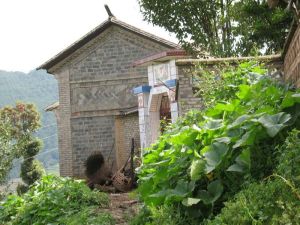 樂秋街村 樂秋街村