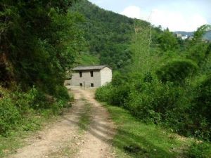 蝦洪爬車村 蝦洪爬車村