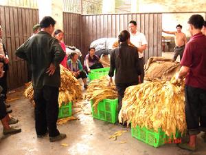 （圖）特色產業