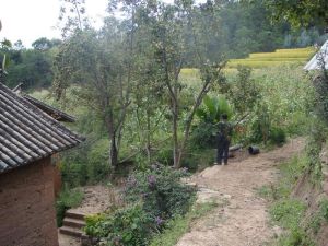 龍泉一村 龍泉一村