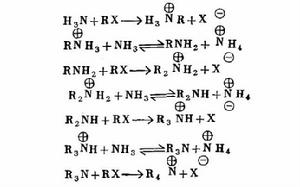 霍夫曼烷基化反應 霍夫曼烷基化反應