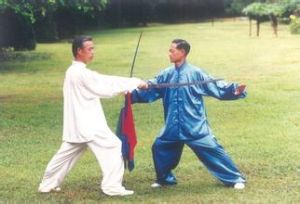 楊式太極刀 楊式太極刀