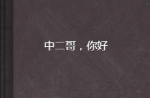 中二哥，你好