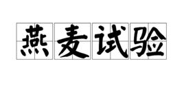 燕麥試驗 燕麥試驗