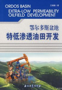 低滲透油田 低滲透油田