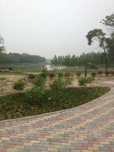 義門伯俞休閒中心