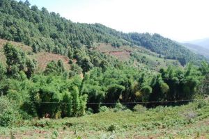 賀家山村 賀家山村