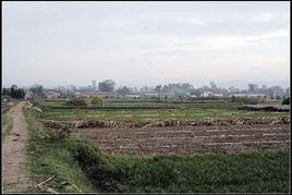 王安廠村 王安廠村