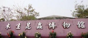 木生昆蟲研究所 木生昆蟲研究所