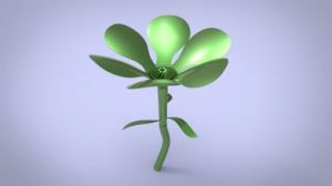 微小網甲藻 微小網甲藻