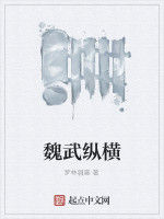 魏武縱橫 魏武縱橫