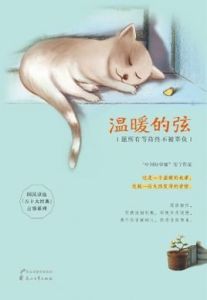 溫暖的弦[言情小說]
