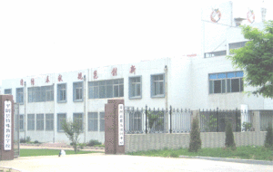 平陰縣特殊教育學校 平陰縣特殊教育學校