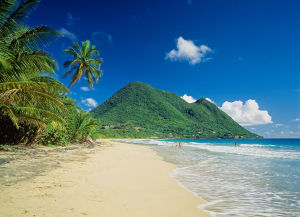 馬提尼克 馬提尼克