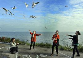 和諧共生 和諧共生