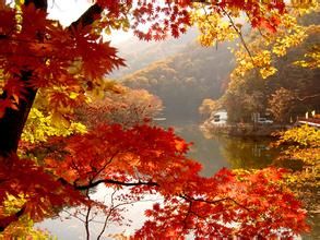 本溪滿族自治縣