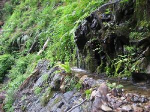 捧八自然村 捧八自然村