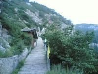 禹王洞國家森林公園 禹王洞國家森林公園