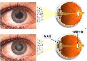 （圖）中華健康快車
