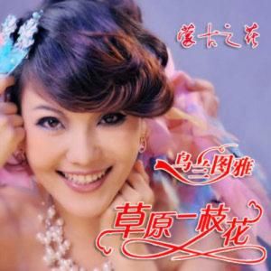 草原一枝花 草原一枝花