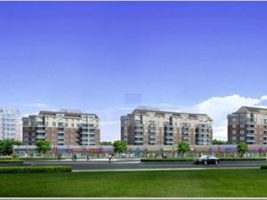 錦繡名園 錦繡名園