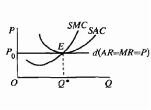 完全競爭廠商的短期均衡（P=AVC）