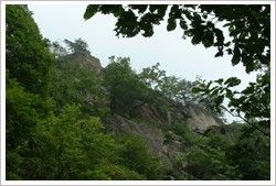 五里溝石林景區 五里溝石林景區