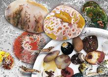 雨花石集錦【十二】