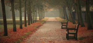 昌華園八街 昌華園八街