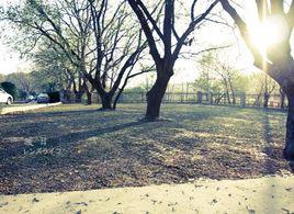 暖冬[氣象學名詞]