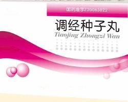 調經種子丸 調經種子丸