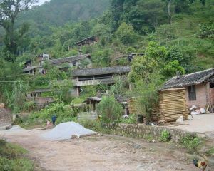 正興鎮景南村 正興鎮景南村