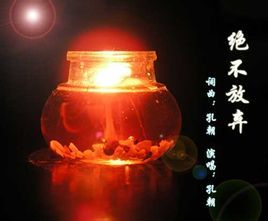 決不放棄 決不放棄