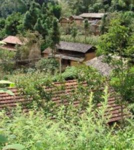 達子咪自然村 達子咪自然村