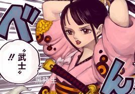 小菊[（日本動漫海賊王中的角色）]