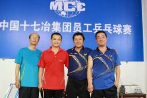 中國十七冶集團有限公司