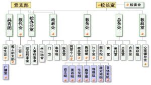 職能型組織結構