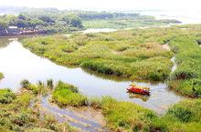 大縱湖蘆葦迷宮高清組圖3